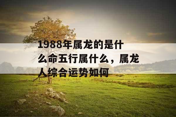 1988年属龙的是什么命五行属什么，属龙人综合运势如何