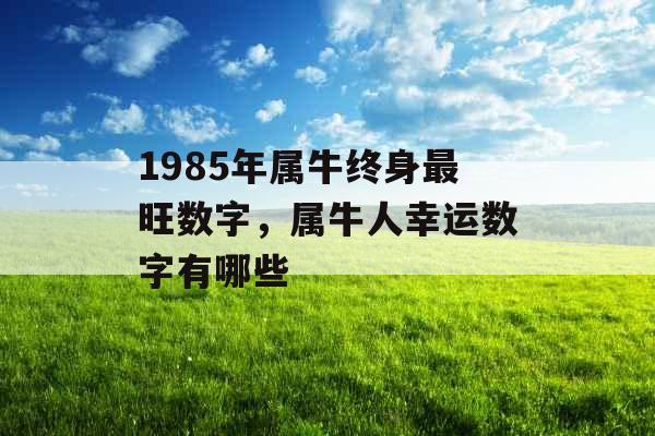 1985年属牛终身最旺数字，属牛人幸运数字有哪些