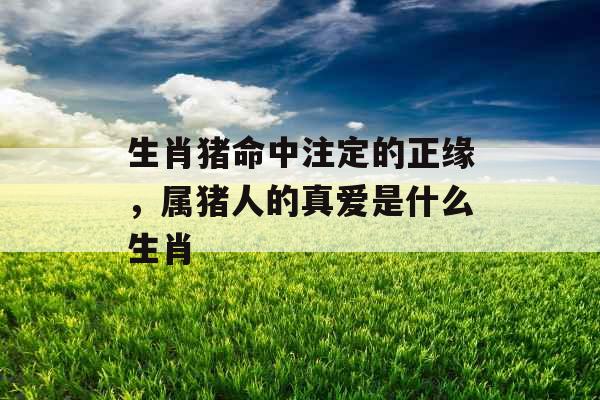 生肖猪命中注定的正缘，属猪人的真爱是什么生肖