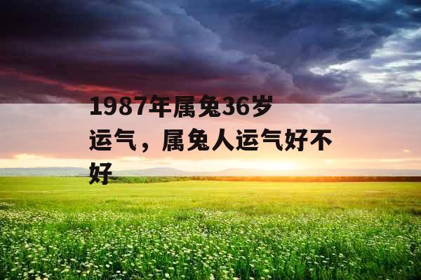 1987年属兔36岁运气，属兔人运气好不好