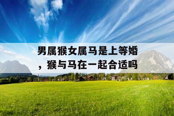 男属猴女属马是上等婚，猴与马在一起合适吗