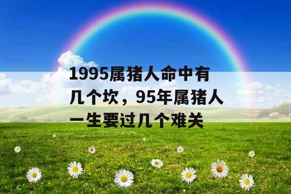 1995属猪人命中有几个坎，95年属猪人一生要过几个难关