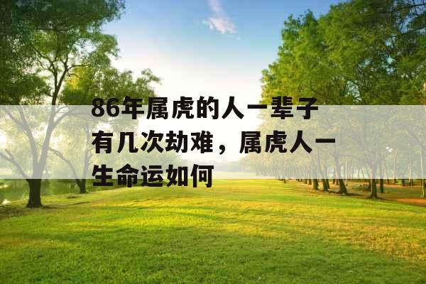 86年属虎的人一辈子有几次劫难，属虎人一生命运如何