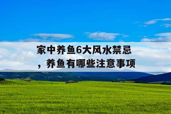 家中养鱼6大风水禁忌，养鱼有哪些注意事项