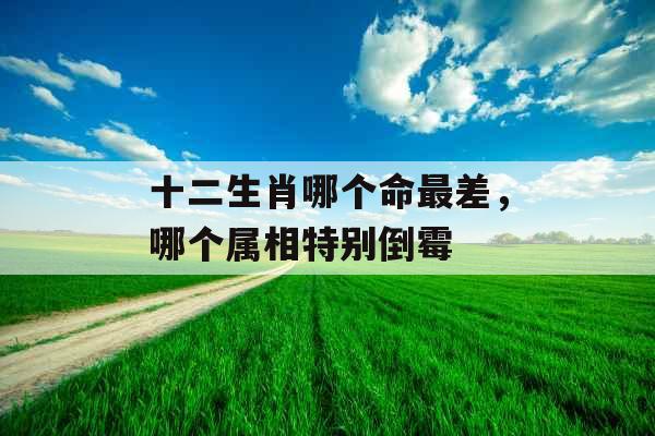 十二生肖哪个命最差，哪个属相特别倒霉