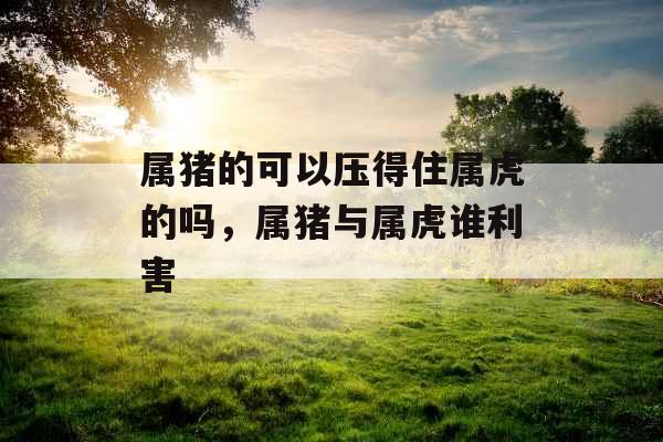 属猪的可以压得住属虎的吗，属猪与属虎谁利害