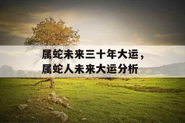 属蛇未来三十年大运，属蛇人未来大运分析