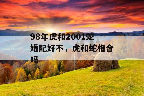 98年虎和2001蛇婚配好不，虎和蛇相合吗