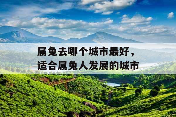 属兔去哪个城市最好，适合属兔人发展的城市