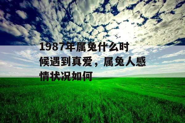 1987年属兔什么时候遇到真爱，属兔人感情状况如何