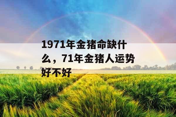 1971年金猪命缺什么，71年金猪人运势好不好