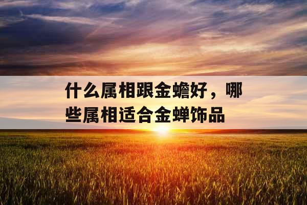 什么属相跟金蟾好，哪些属相适合金蝉饰品