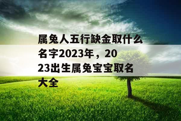属兔人五行缺金取什么名字2023年，2023出生属兔宝宝取名大全