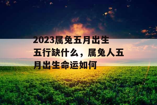 2023属兔五月出生五行缺什么，属兔人五月出生命运如何