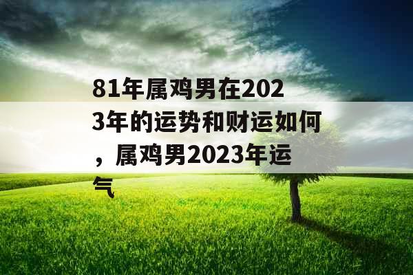 81年属鸡男在2023年的运势和财运如何，属鸡男2023年运气