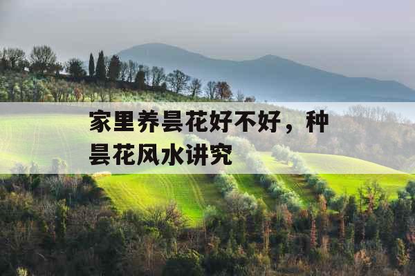 家里养昙花好不好，种昙花风水讲究