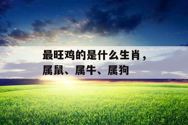 最旺鸡的是什么生肖，属鼠、属牛、属狗