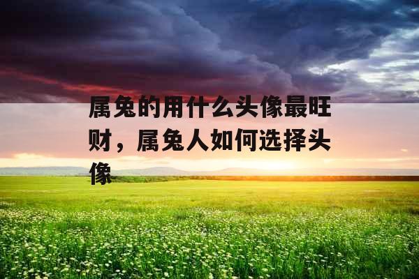属兔的用什么头像最旺财，属兔人如何选择头像