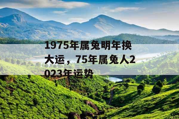 1975年属兔明年换大运，75年属兔人2023年运势