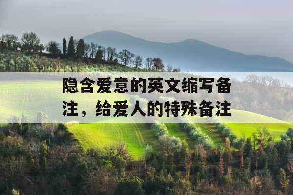 隐含爱意的英文缩写备注，给爱人的特殊备注