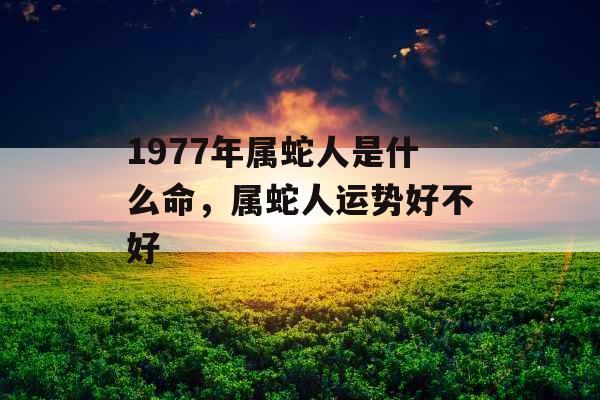1977年属蛇人是什么命，属蛇人运势好不好