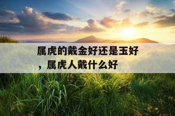 属虎的戴金好还是玉好，属虎人戴什么好