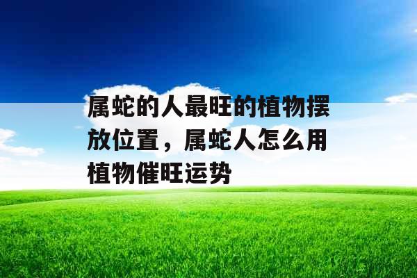 属蛇的人最旺的植物摆放位置，属蛇人怎么用植物催旺运势