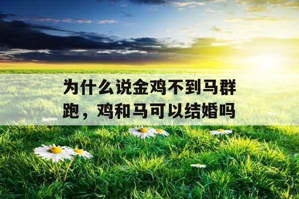 为什么说金鸡不到马群跑，鸡和马可以结婚吗