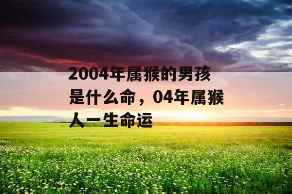 2004年属猴的男孩是什么命，04年属猴人一生命运