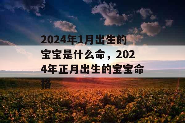 2024年1月出生的宝宝是什么命，2024年正月出生的宝宝命格