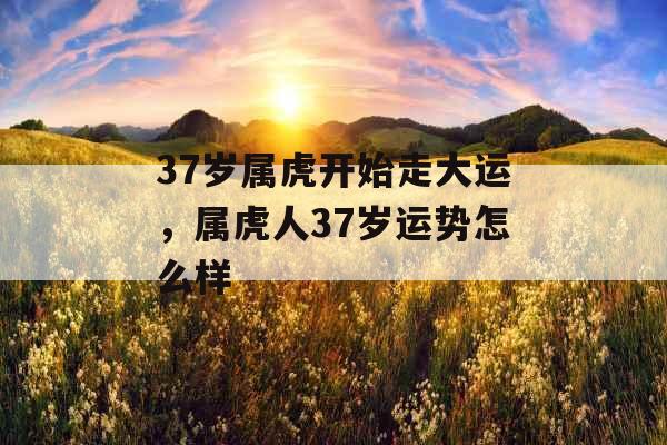 37岁属虎开始走大运，属虎人37岁运势怎么样