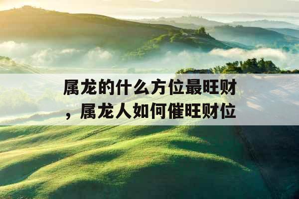 属龙的什么方位最旺财，属龙人如何催旺财位