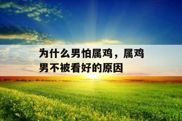 为什么男怕属鸡，属鸡男不被看好的原因
