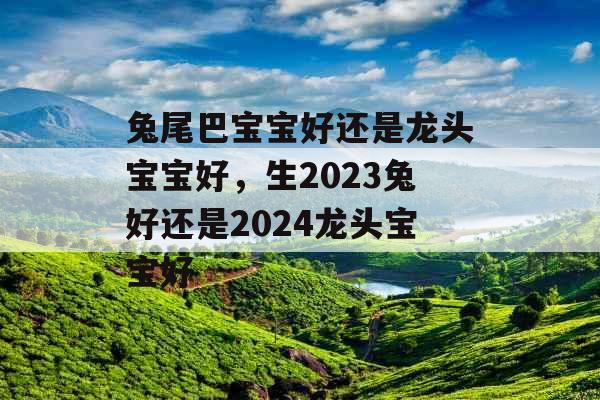 兔尾巴宝宝好还是龙头宝宝好，生2023兔好还是2024龙头宝宝好