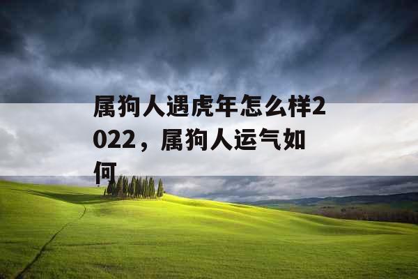 属狗人遇虎年怎么样2022，属狗人运气如何