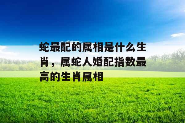 蛇最配的属相是什么生肖，属蛇人婚配指数最高的生肖属相