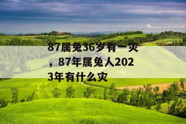 87属兔36岁有一灾,87年属兔人2023年有什么灾 87属兔36岁有一灾,87年属兔人2023年有什么灾
