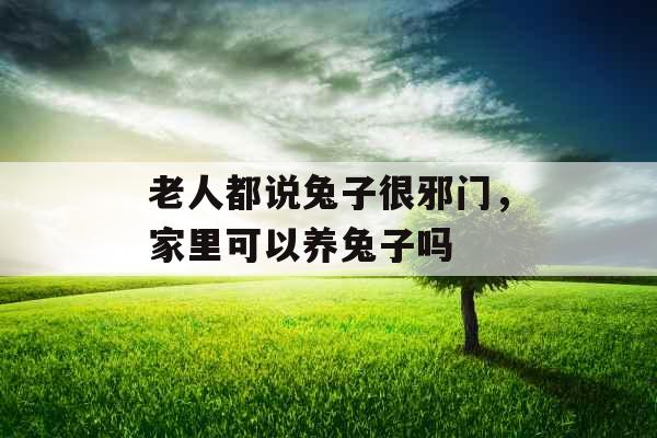 老人都说兔子很邪门，家里可以养兔子吗