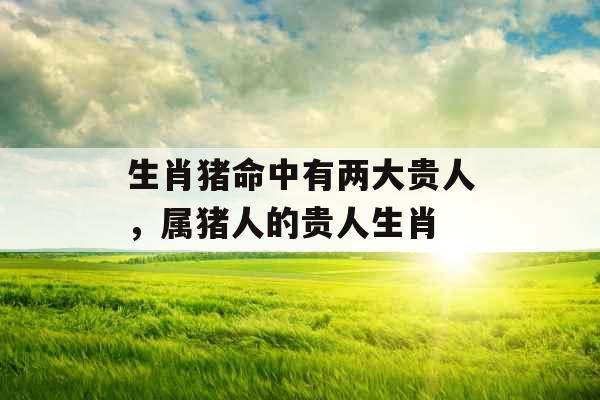 生肖猪命中有两大贵人，属猪人的贵人生肖