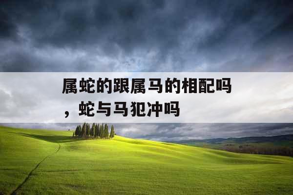 属蛇的跟属马的相配吗，蛇与马犯冲吗