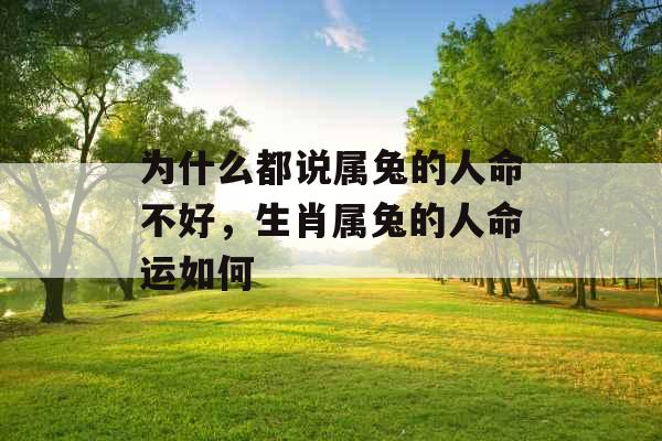 为什么都说属兔的人命不好，生肖属兔的人命运如何