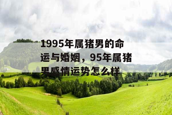 1995年属猪男的命运与婚姻，95年属猪男感情运势怎么样