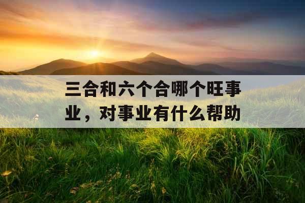 三合和六个合哪个旺事业，对事业有什么帮助