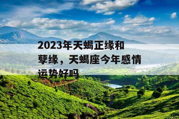 2023年天蝎正缘和孽缘，天蝎座今年感情运势好吗