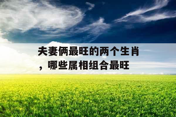 夫妻俩最旺的两个生肖,哪些属相组合最旺