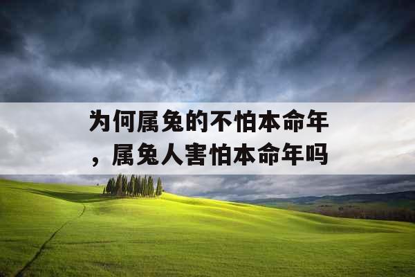 为何属兔的不怕本命年，属兔人害怕本命年吗