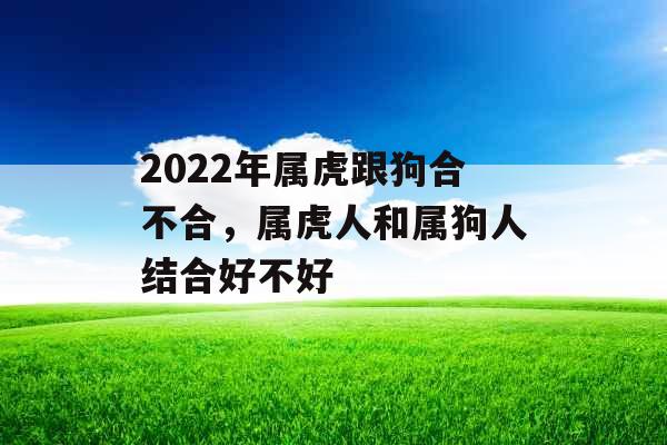 2022年属虎跟狗合不合，属虎人和属狗人结合好不好