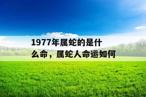 1977年属蛇的是什么命，属蛇人命运如何