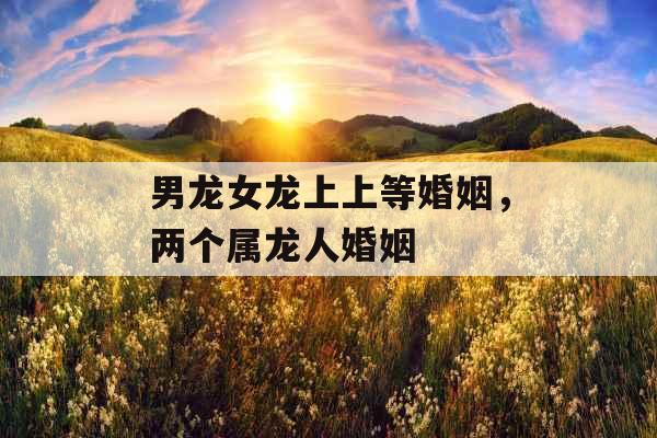 男龙女龙上上等婚姻，两个属龙人婚姻