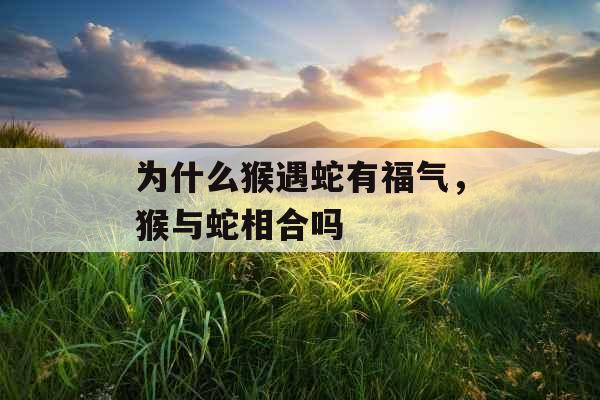 为什么猴遇蛇有福气，猴与蛇相合吗